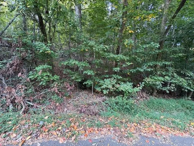 $42,000 | Tbd Holly Tree Drive, Wilkesboro, NC 28697