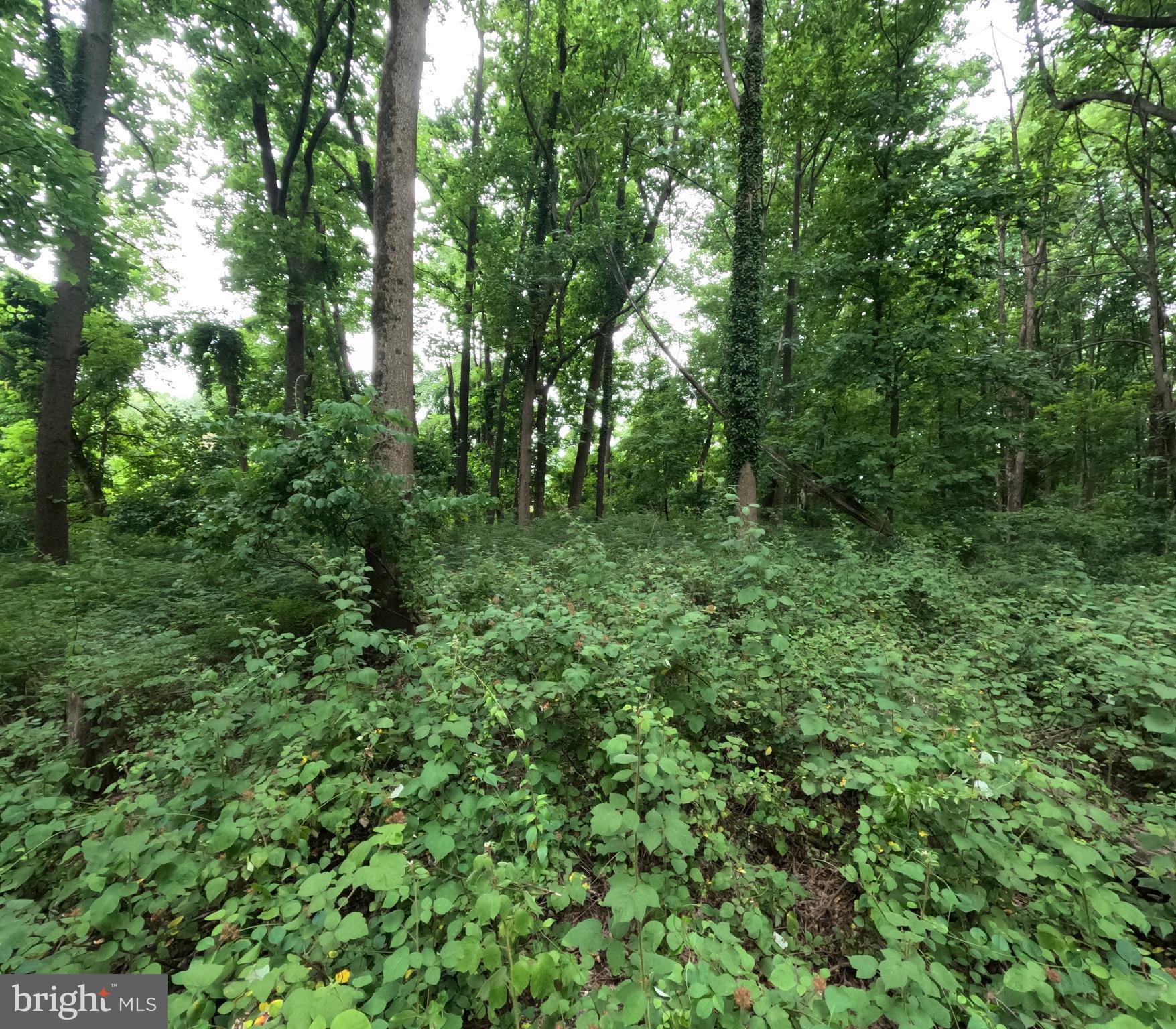 2500 Norbeck Road Silver Spring, MD 20906 - Photo 5 of 15 Gallery Image 5