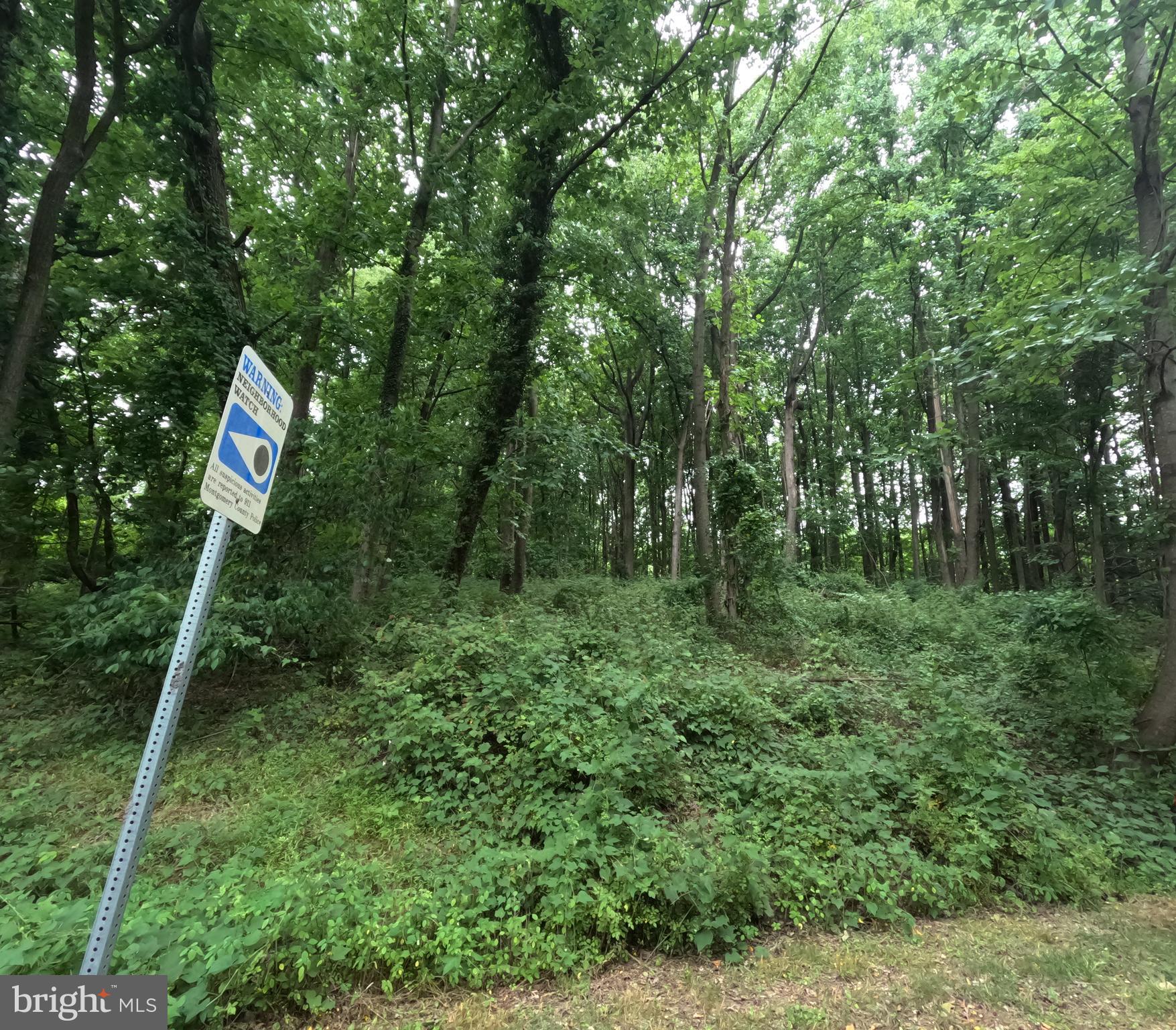 2500 Norbeck Road Silver Spring, MD 20906 - Photo 10 of 15 Gallery Image 10