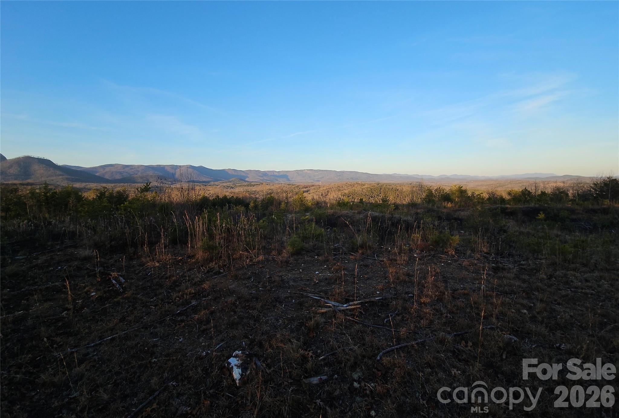 0 Table Rock Road Gaston, SC 29053 - Photo 4 of 4 a view of a lake with mountains in the background