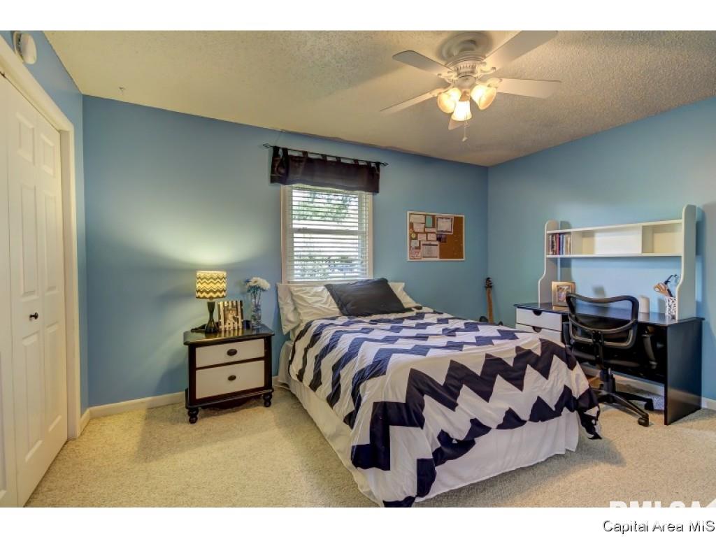 25 Meander Pike Chatham, IL 62629 - Photo 20 of 36 Gallery Image 20