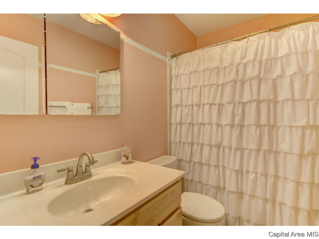 25 Meander Pike Chatham, IL 62629 - Photo 22 of 36 Gallery Image 22