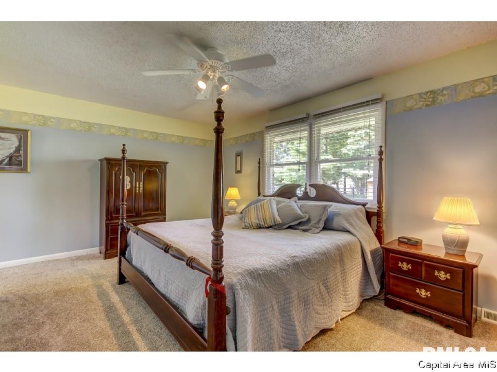 25 Meander Pike Chatham, IL 62629 - Photo 26 of 36 Gallery Image 26