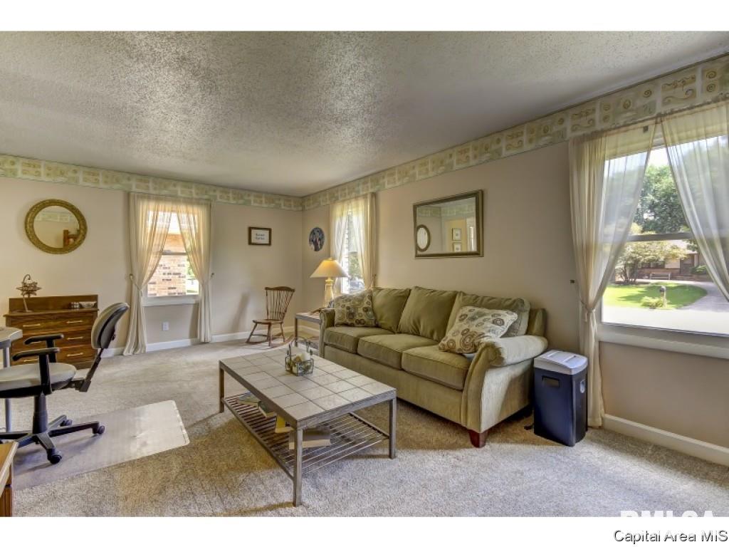 25 Meander Pike Chatham, IL 62629 - Photo 9 of 36 Gallery Image 9
