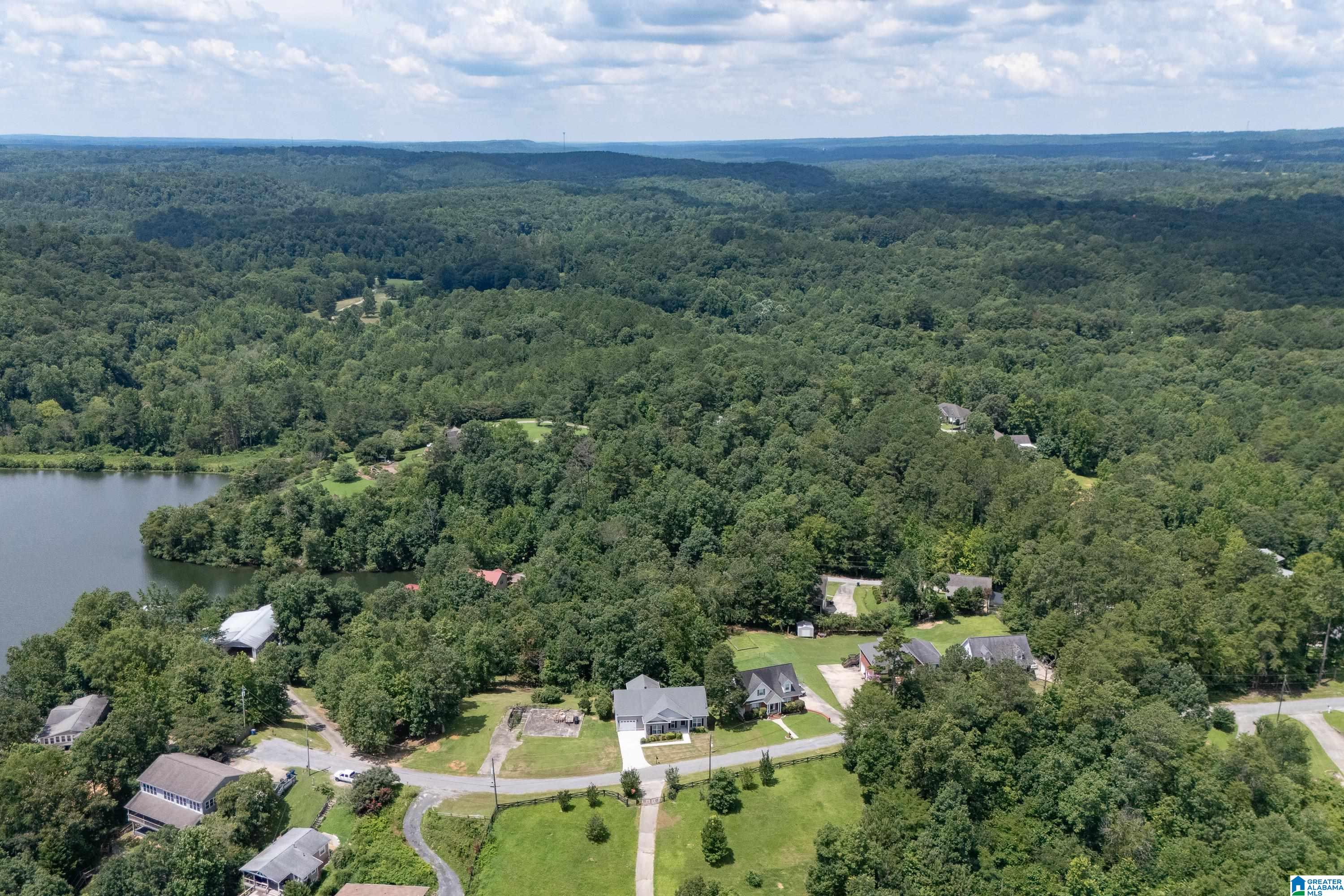1594 Overlook Point Warrior, AL 35180 - Photo 32 of 51