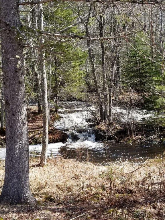 469 Guzzle Road Gouldsboro, ME 04607 - Photo 17 of 22 Waterfall from pond.