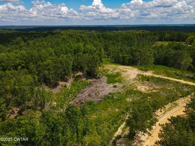 a view of a yard with plants