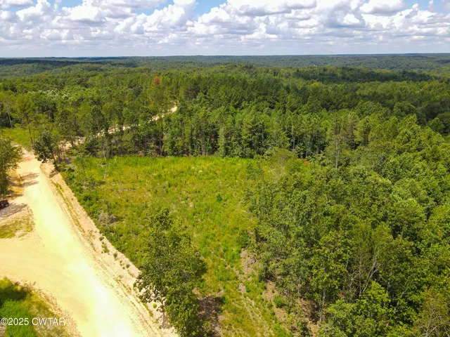 a view of a yard with an outdoor space