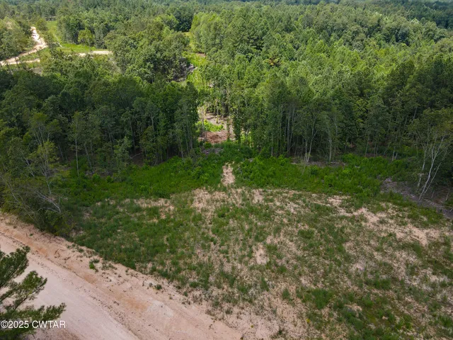 a view of a yard with a trees