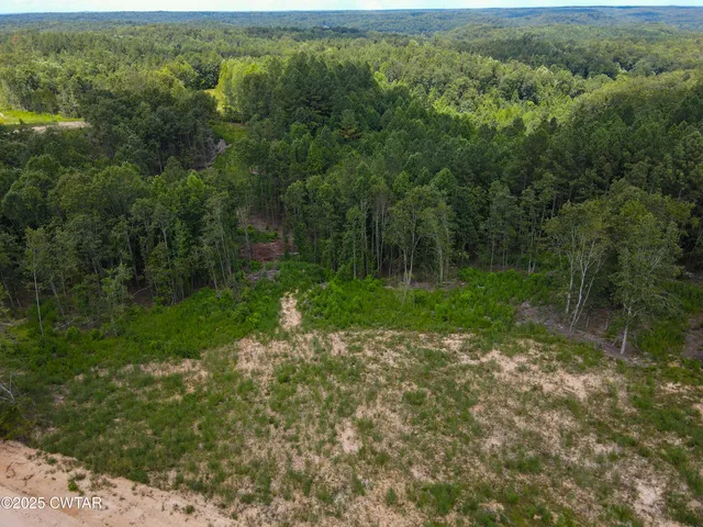 a view of a forest with a yard