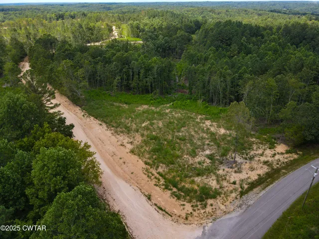a view of a garden with a pathway