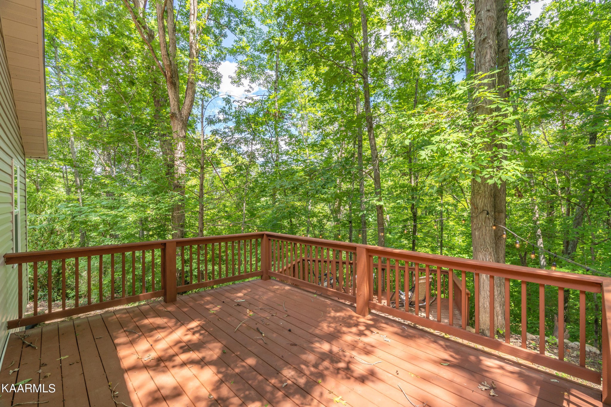 590 Riden Road Greenback, TN 37742 - Photo 18 of 45 Gallery Image 18