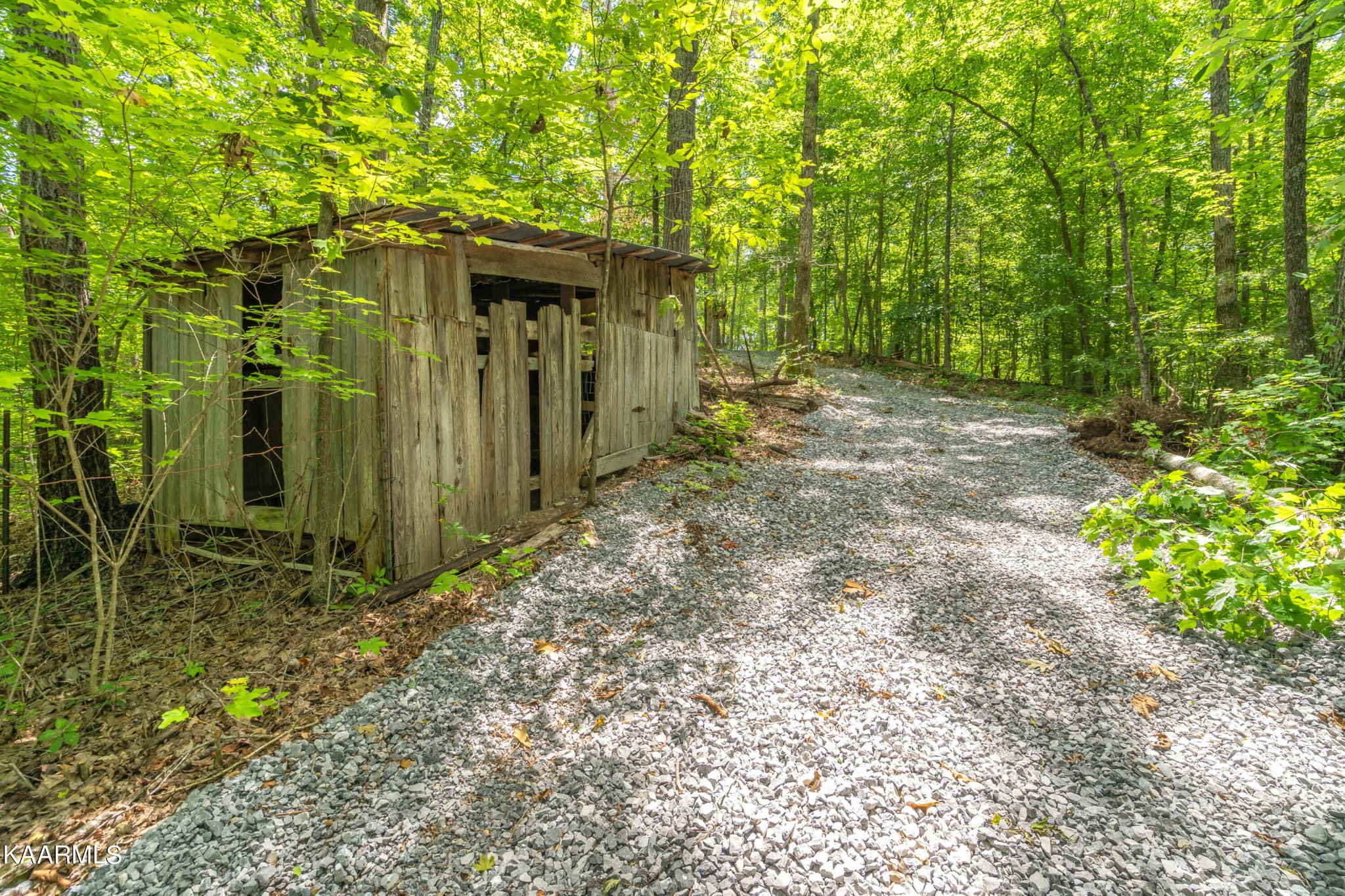 590 Riden Road Greenback, TN 37742 - Photo 24 of 45 Gallery Image 24