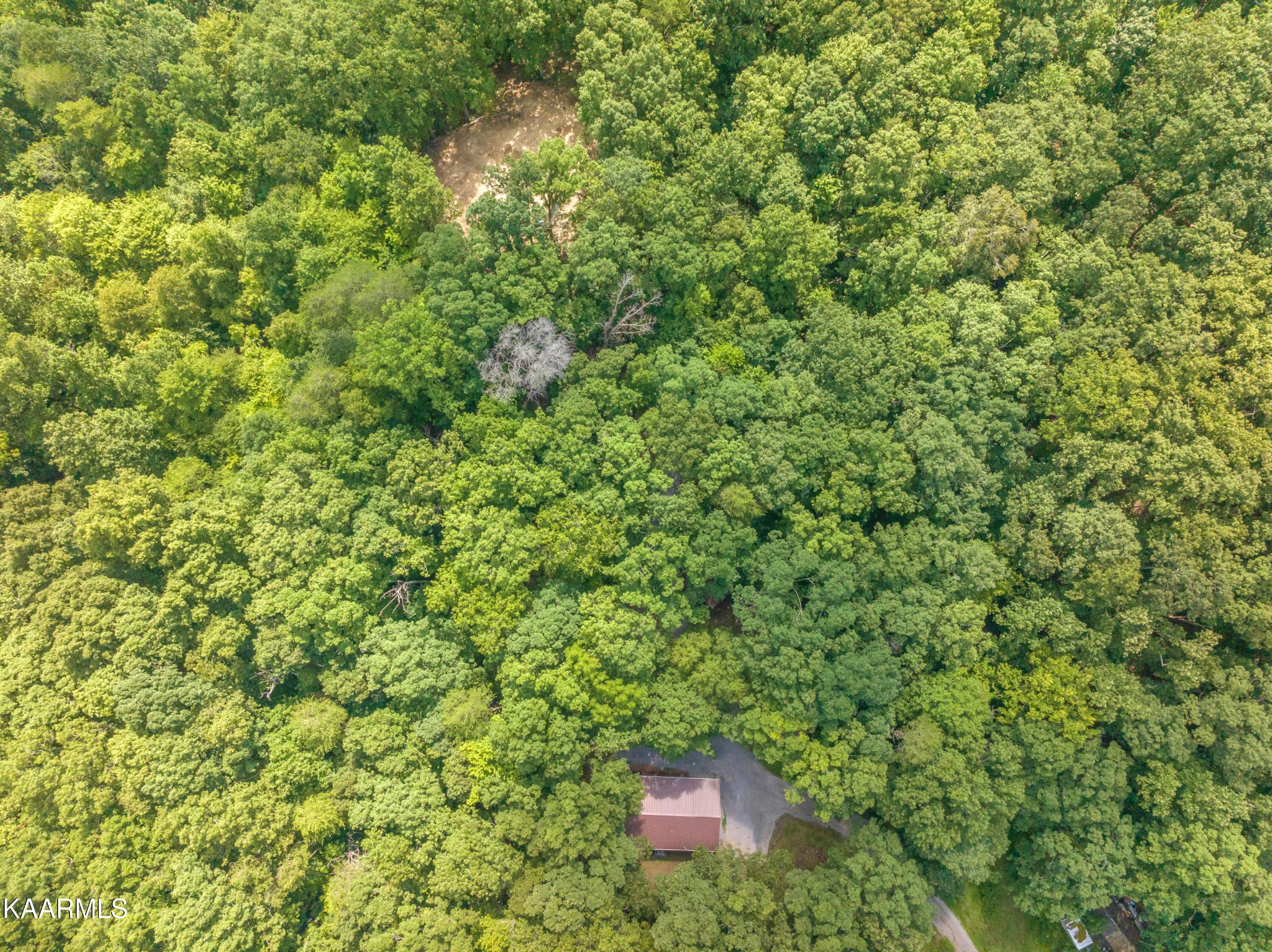 590 Riden Road Greenback, TN 37742 - Photo 27 of 45 Gallery Image 27