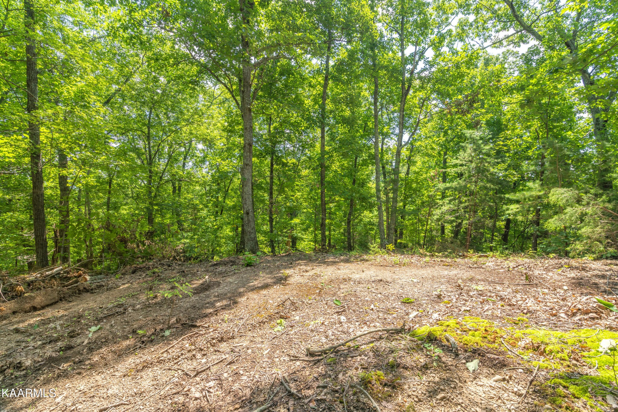 590 Riden Road Greenback, TN 37742 - Photo 33 of 45 Gallery Image 33