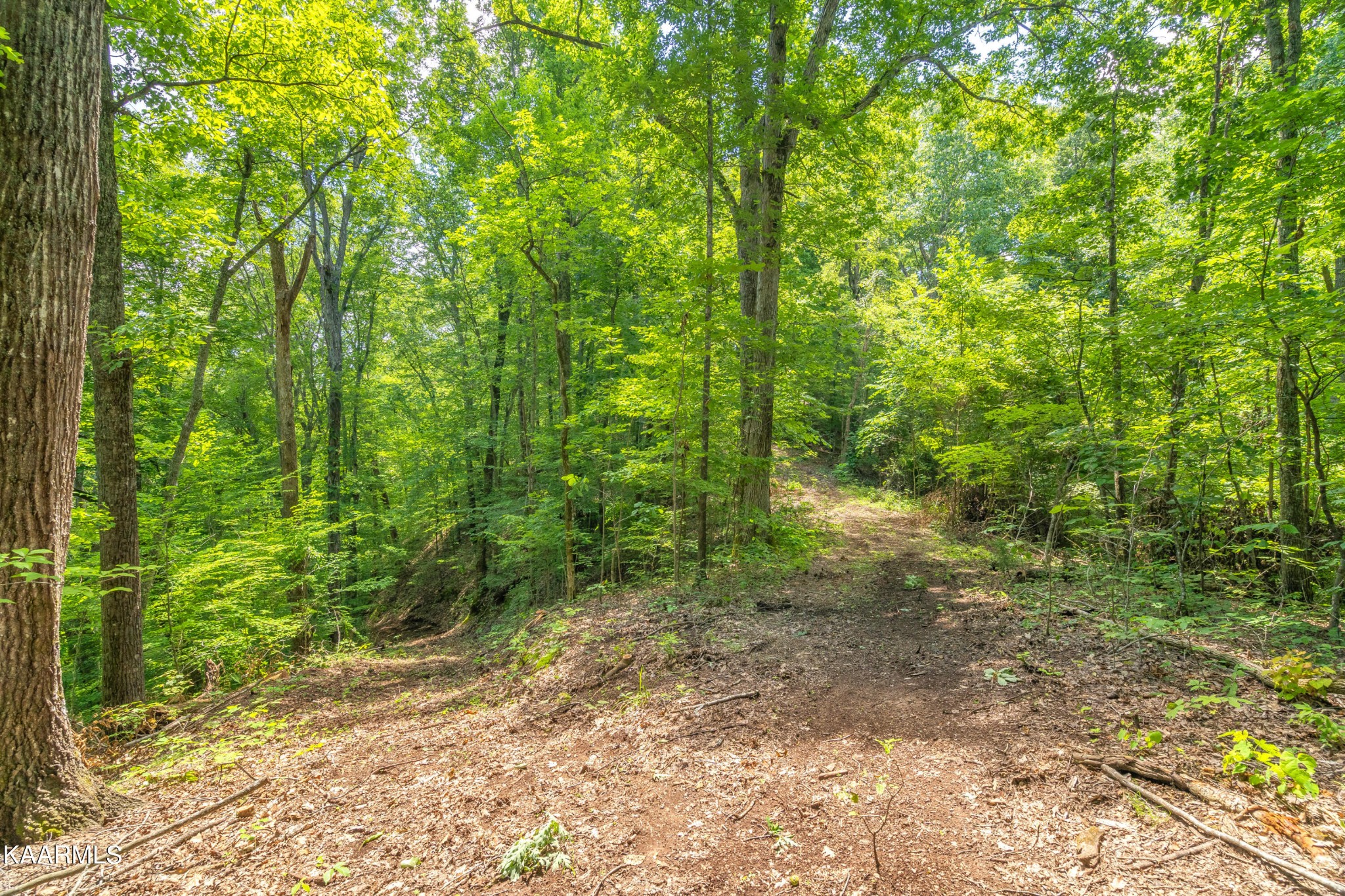 590 Riden Road Greenback, TN 37742 - Photo 34 of 45 Gallery Image 34