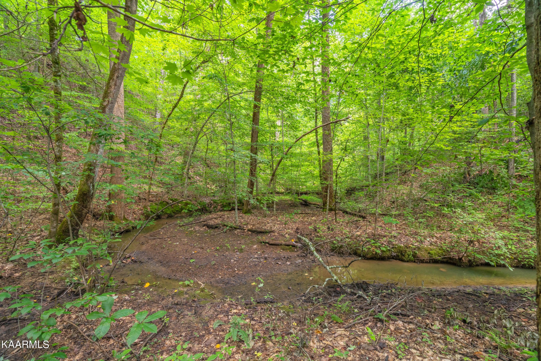 590 Riden Road Greenback, TN 37742 - Photo 36 of 45 Gallery Image 36