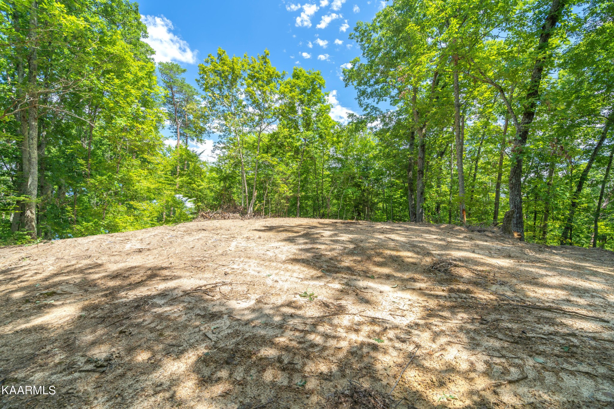 590 Riden Road Greenback, TN 37742 - Photo 38 of 45 Gallery Image 38