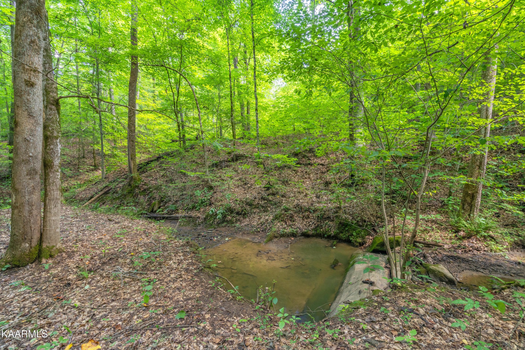 590 Riden Road Greenback, TN 37742 - Photo 39 of 45 Gallery Image 39