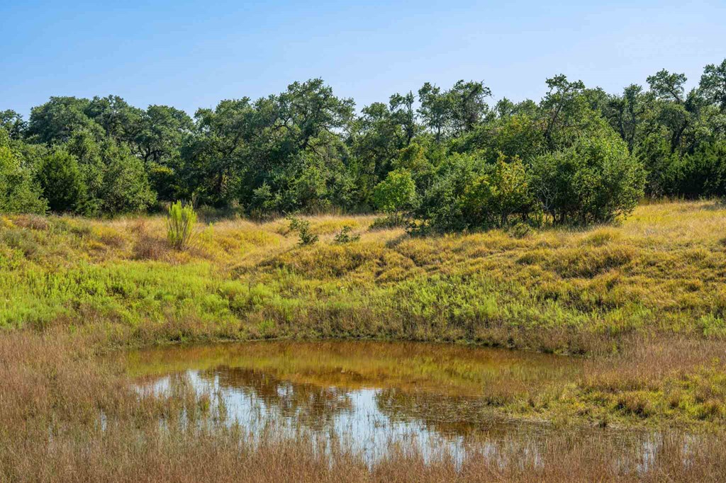 147 Gray Wolf Blanco, TX 78606 - Photo 3 of 34 a view of lake view