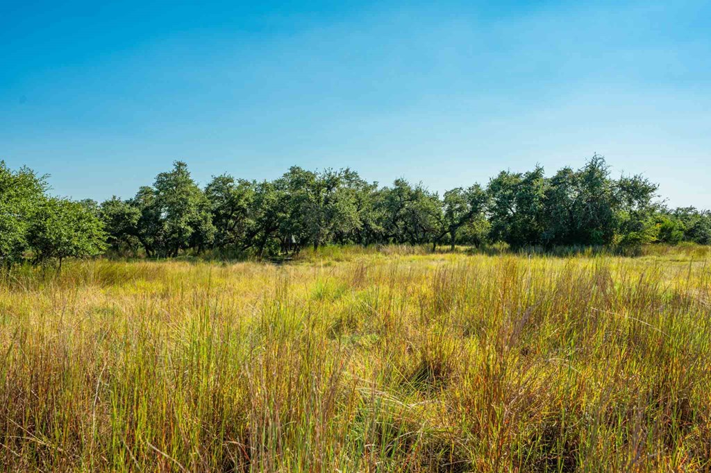 147 Gray Wolf Blanco, TX 78606 - Photo 4 of 34 a view of a lake view
