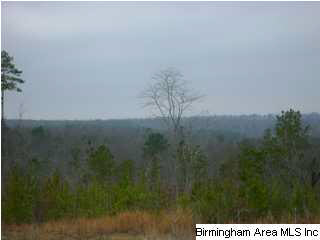 Mayo Road, Unit 96 Altoona, AL 35952 - Photo 19 of 23