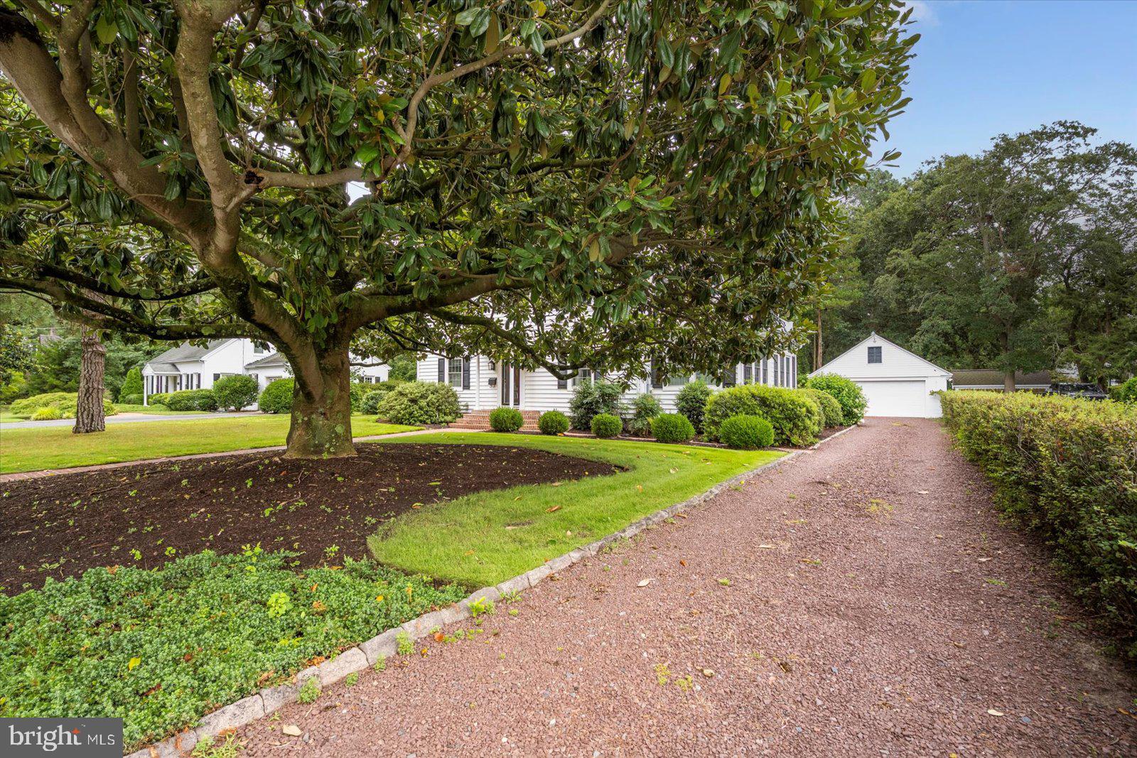 921 Riverside Drive Salisbury, MD 21801 - Photo 57 of 62 a view of a yard with plants and large trees
