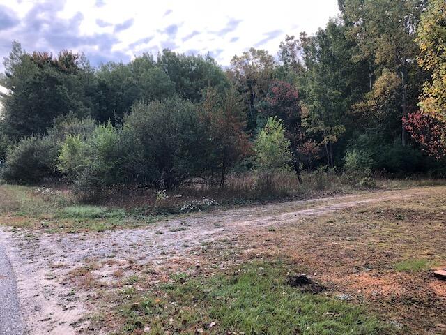 0 Schmeid Road Lakeview, MI 48850 - Photo 1 of 9 1 O Schmeid