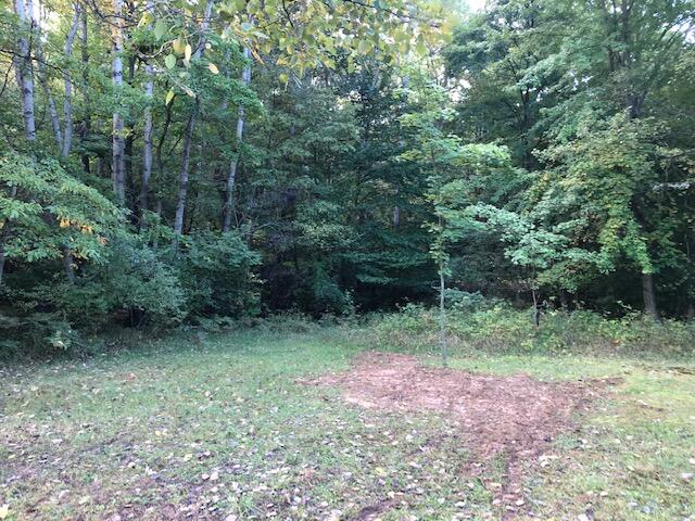 0 Schmeid Road Lakeview, MI 48850 - Photo 2 of 9 2 Schmeid
