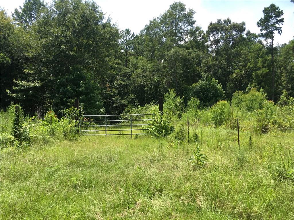 Tbd Lawson Cemetary Road Liberty, MS 39645 - Photo 1 of 9