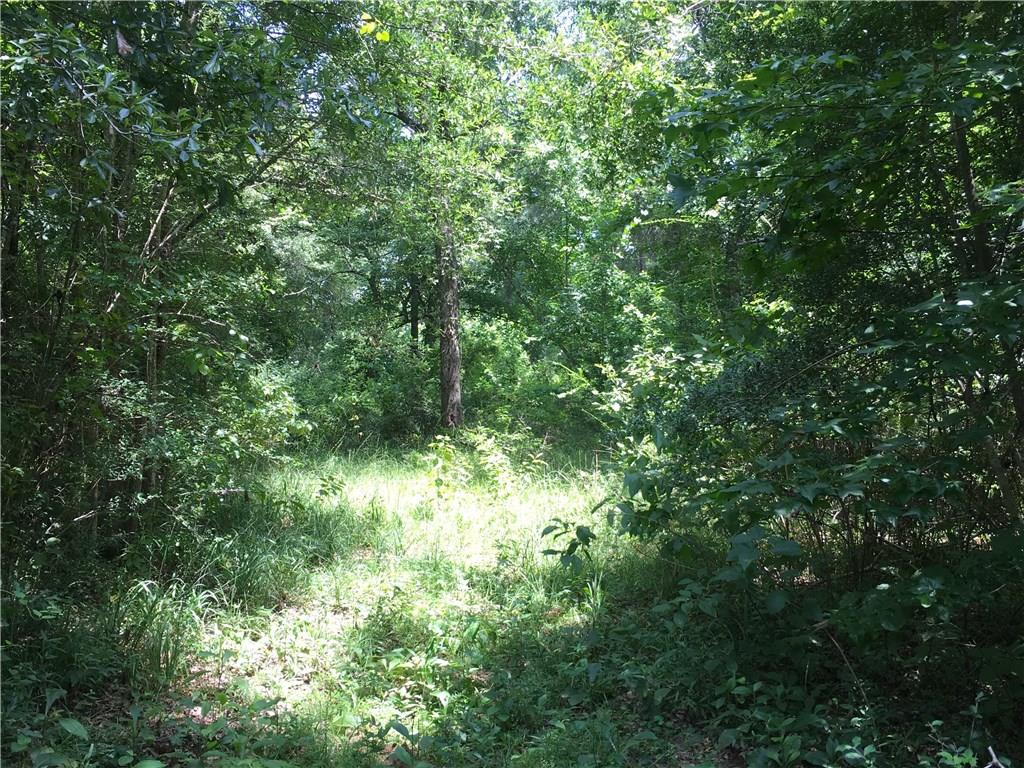 Tbd Lawson Cemetary Road Liberty, MS 39645 - Photo 7 of 9