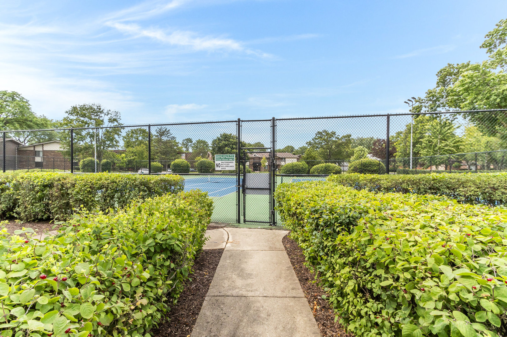 470 Raintree Court, Unit 2H Glen Ellyn, IL 60137 - Photo 20 of 22 a view of a pathway with outside view