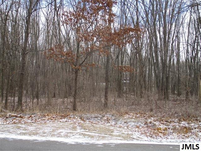 0 Wellman Road Parma, MI 49269 - Photo 1 of 3 Photo 1