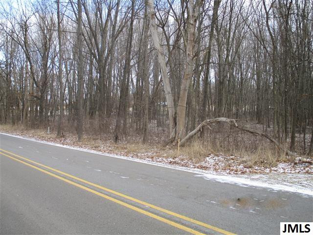 0 Wellman Road Parma, MI 49269 - Photo 2 of 3 Photo 2