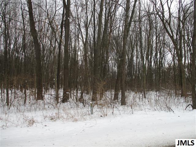 0 Wellman Road Parma, MI 49269 - Photo 3 of 3 Photo 3