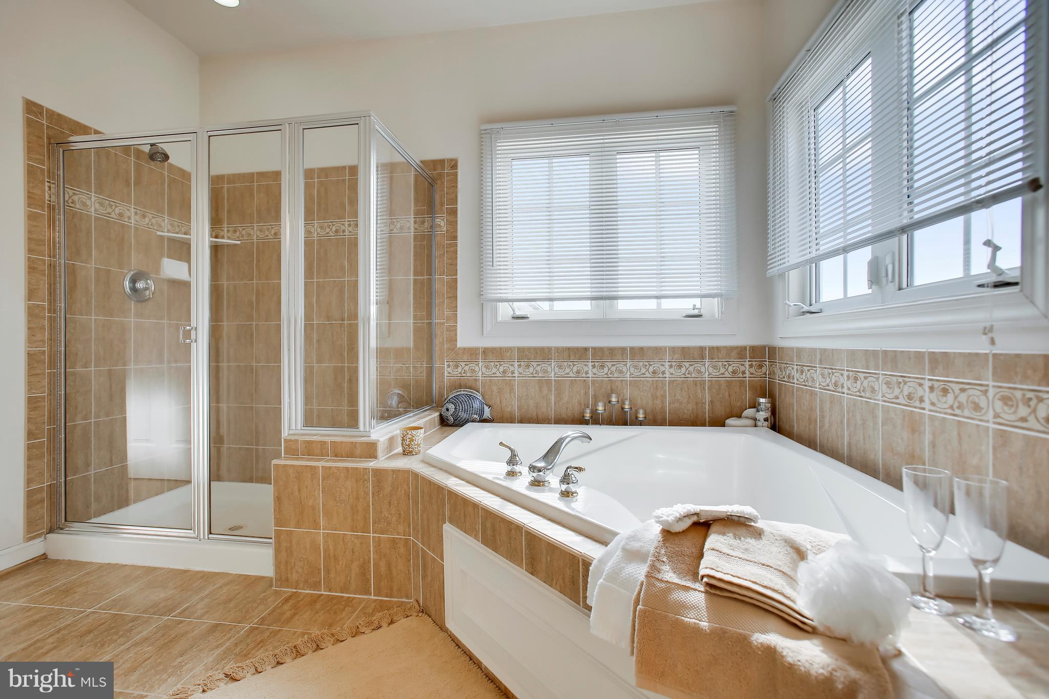 12312 Cypress Spring Road Clarksburg, MD 20871 - Photo 20 of 30 Luxurious soaking tub & separate shower.