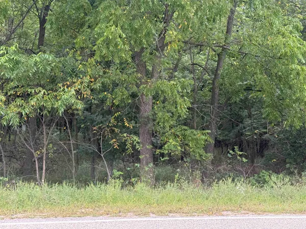 $45,000 | County Rd Pine River East, Unit HWY E, Pine River, WI 54965