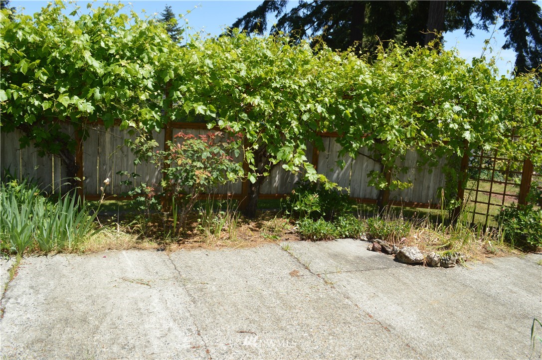 11615 Military Road Southwest Lakewood, WA 98498 - Photo 16 of 19 Gallery Image 16