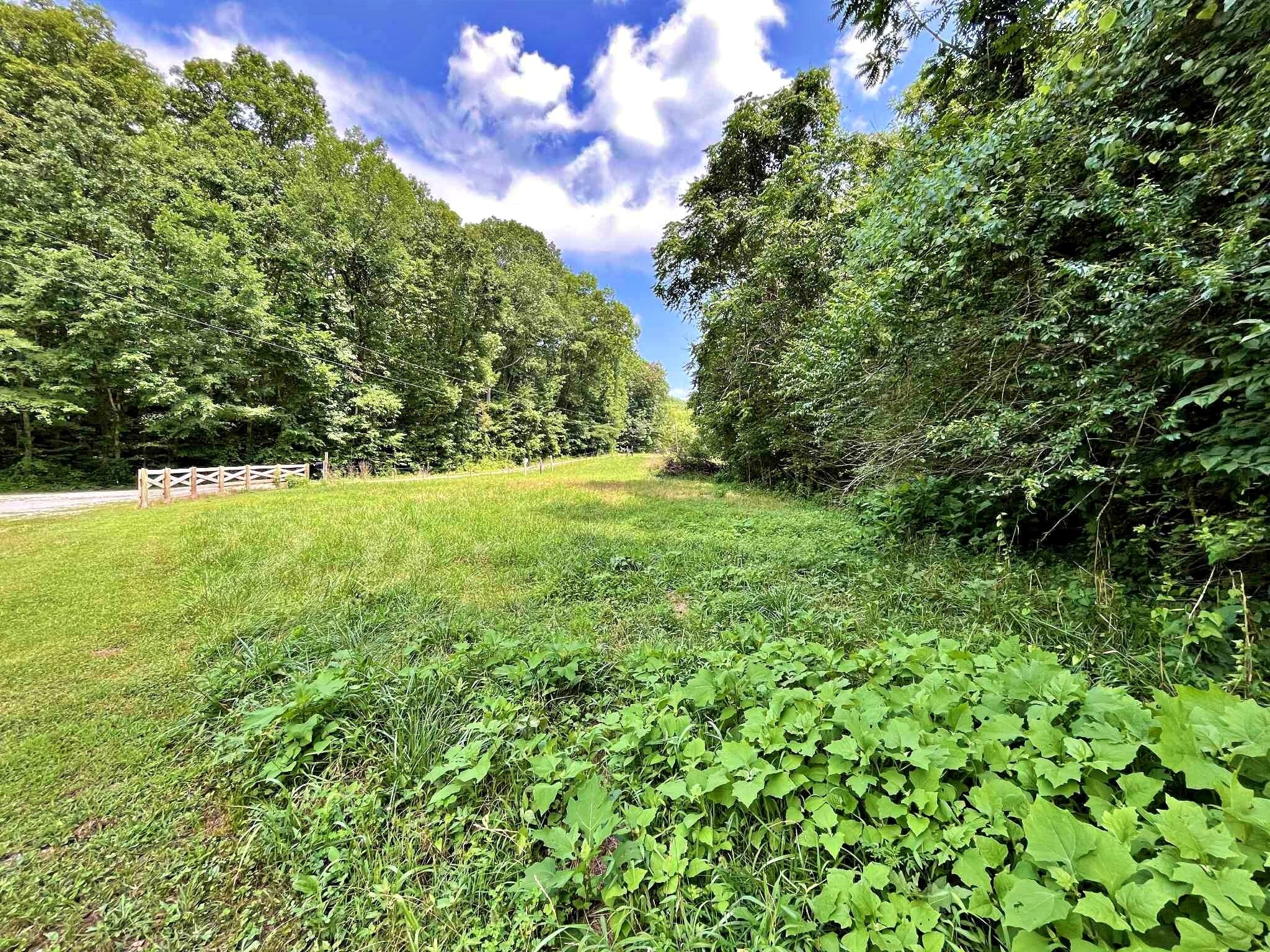 7 Raby Hollow Road Kingston, TN 37763 - Photo 3 of 12