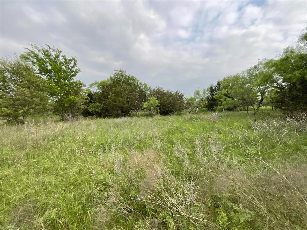 1024 Goodnight Trail Perrin, TX 76486 - Photo 11 of 17