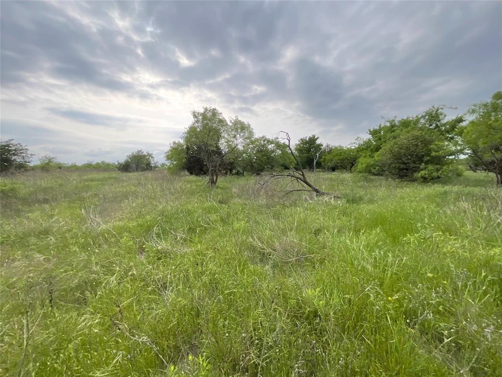 1024 Goodnight Trail Perrin, TX 76486 - Photo 14 of 17