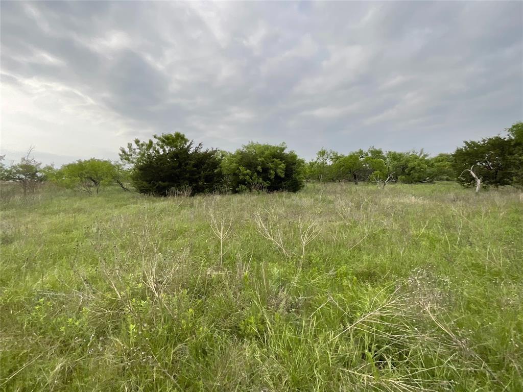 1024 Goodnight Trail Perrin, TX 76486 - Photo 16 of 17