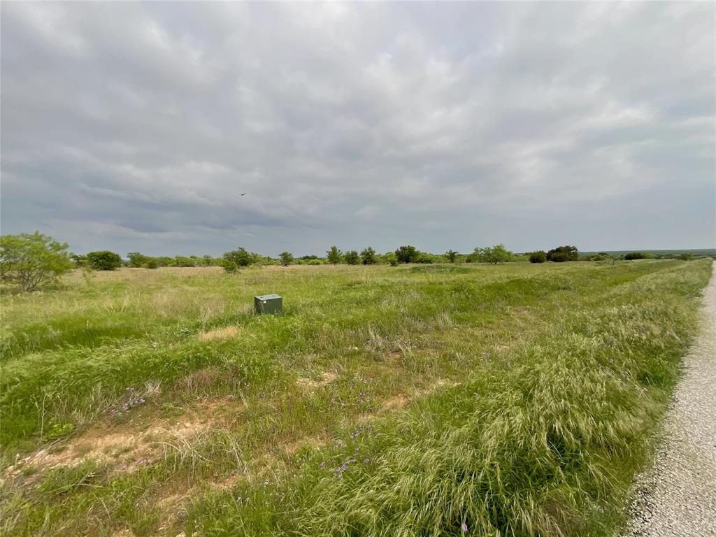 1024 Goodnight Trail Perrin, TX 76486 - Photo 3 of 17