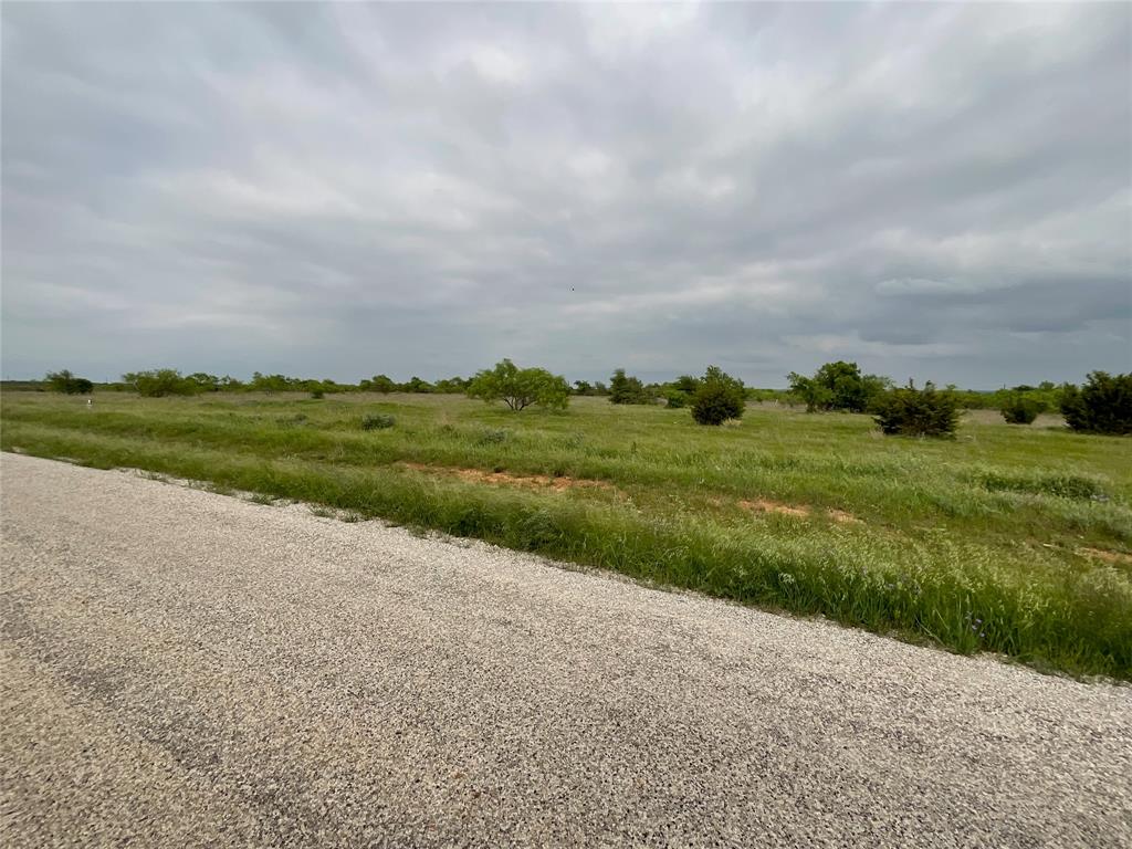 1024 Goodnight Trail Perrin, TX 76486 - Photo 4 of 17