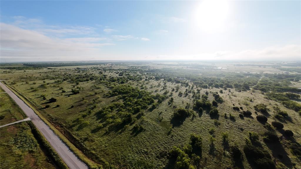 1024 Goodnight Trail Perrin, TX 76486 - Photo 6 of 17