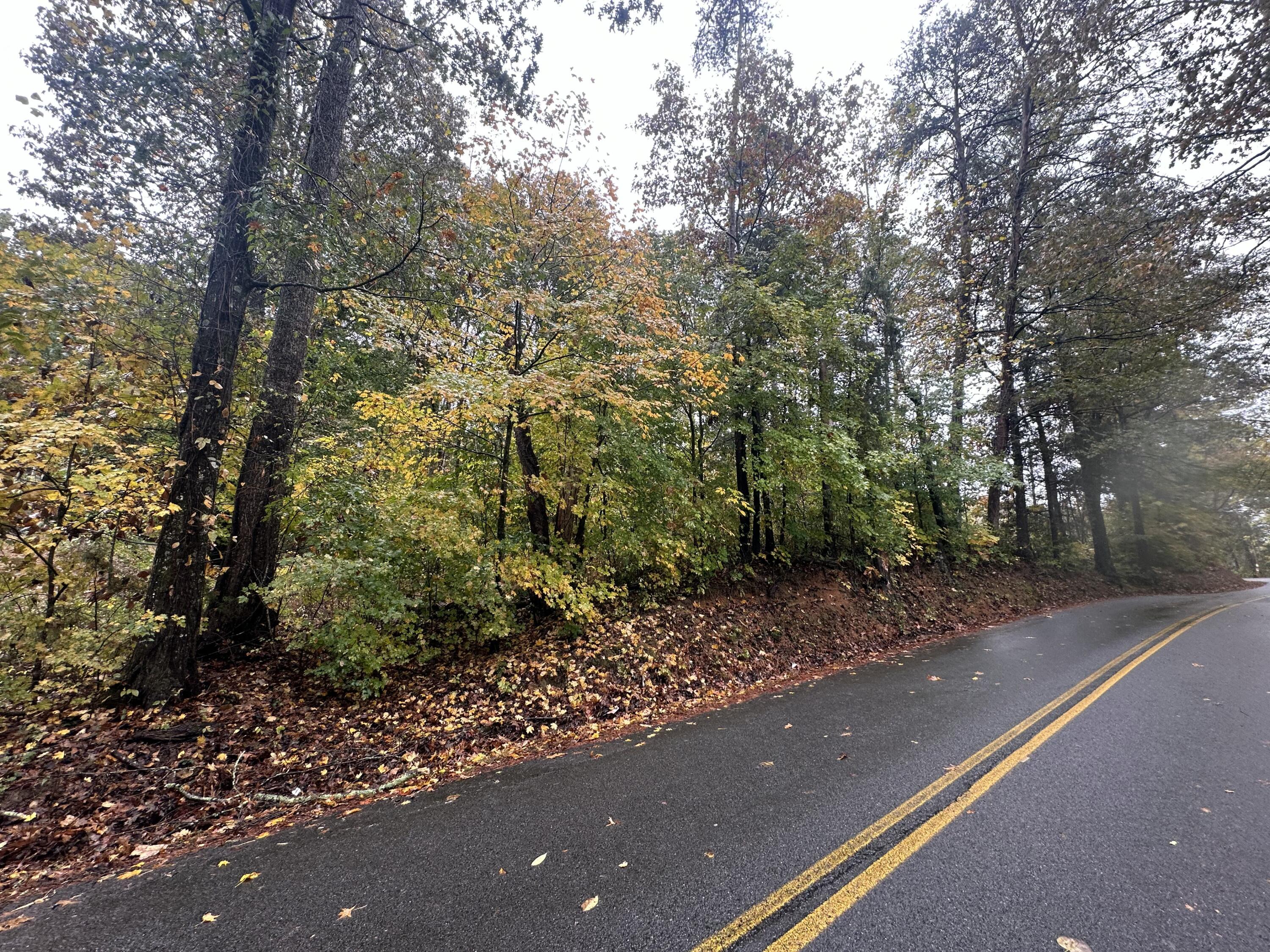 Lot 6 Candies Creek Ridge Road Northwest Cleveland, TN 37312 - Photo 1 of 1 IMG_20251030_140310