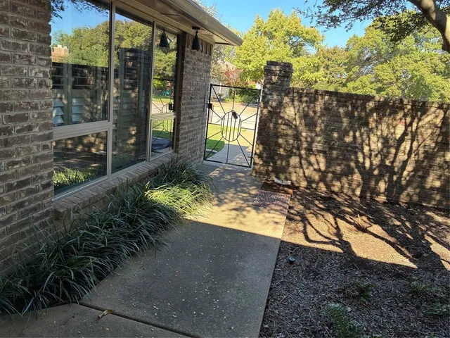 a view of a yard with plants and large trees