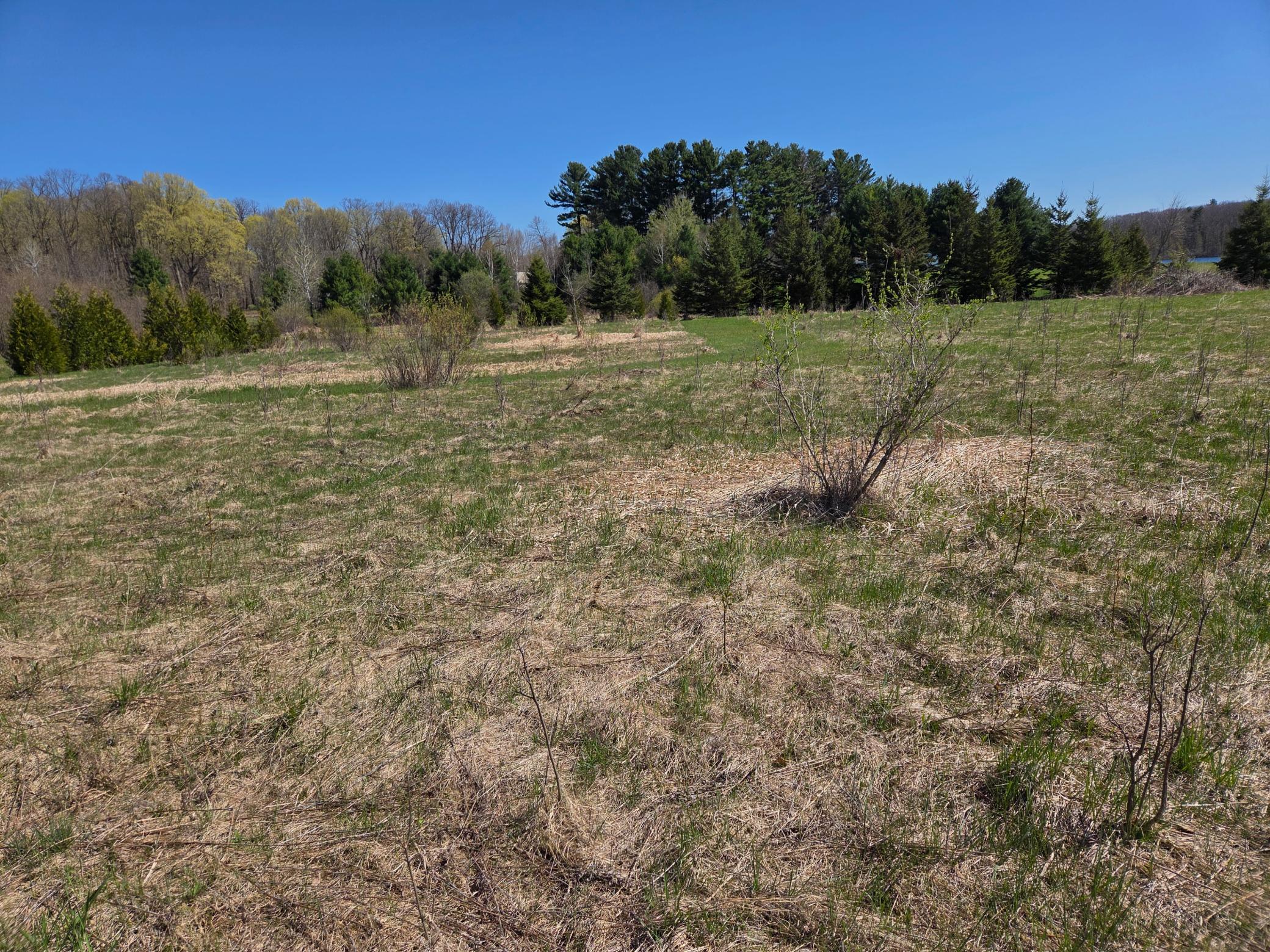 2975 12th Street Barronett, WI 54813 - Photo 14 of 21