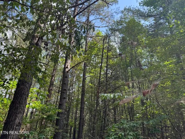 $450,000 | Hannah Davidson Road, Sunbright, TN 37872