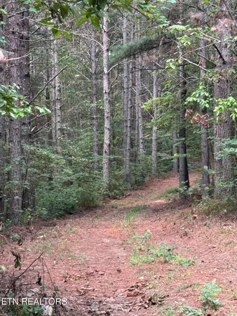 $450,000 | Hannah Davidson Road, Sunbright, TN 37872